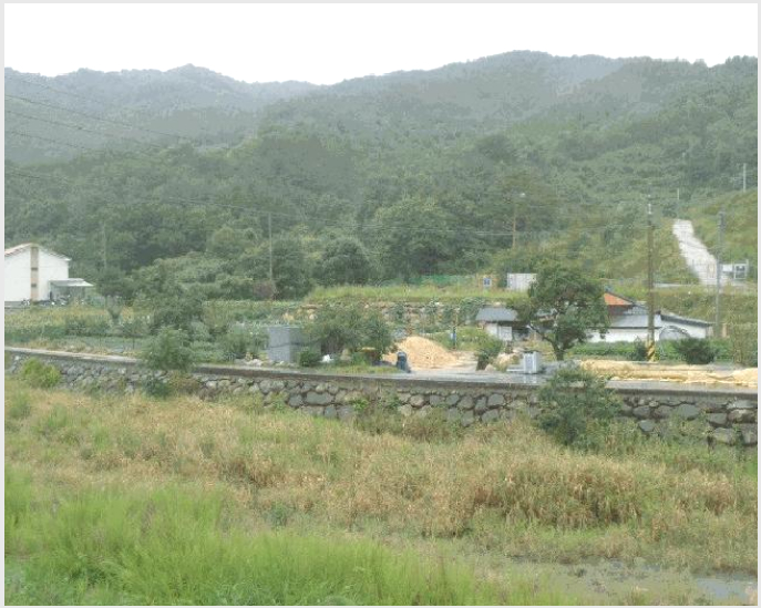 ÅäÁö(Àü) »çÁø1 | »ïô½Ã ¿ø´öÀ¾ ÀÓ¿ø¸® | 2025Ÿ°æ236 | ÅäÁö(Àü)°æ¸Å
