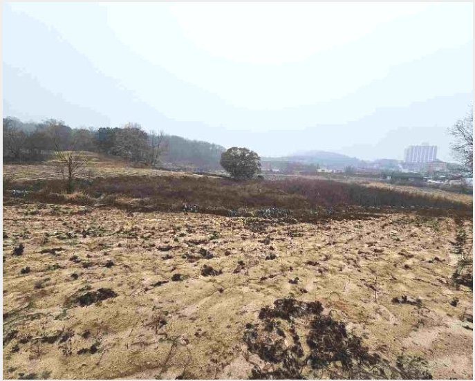 ÅäÁö(Àü) »çÁø1 | ¿©Áֽà °¡³²À¾ ÅÂÆò¸® | 2023Ÿ°æ5262 | ÅäÁö(Àü)°æ¸Å