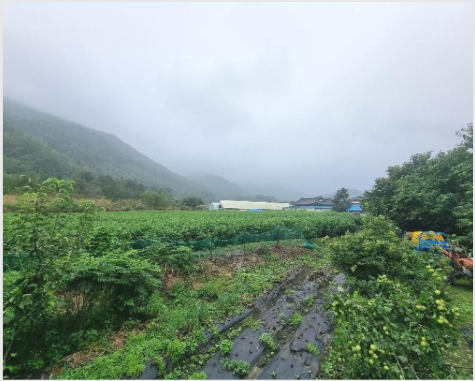 ÅäÁö(´ä) »çÁø1 | °¸ª½Ã °µ¿¸é ÀӰ | 2024Ÿ°æ54104 | ÅäÁö(´ä)°æ¸Å