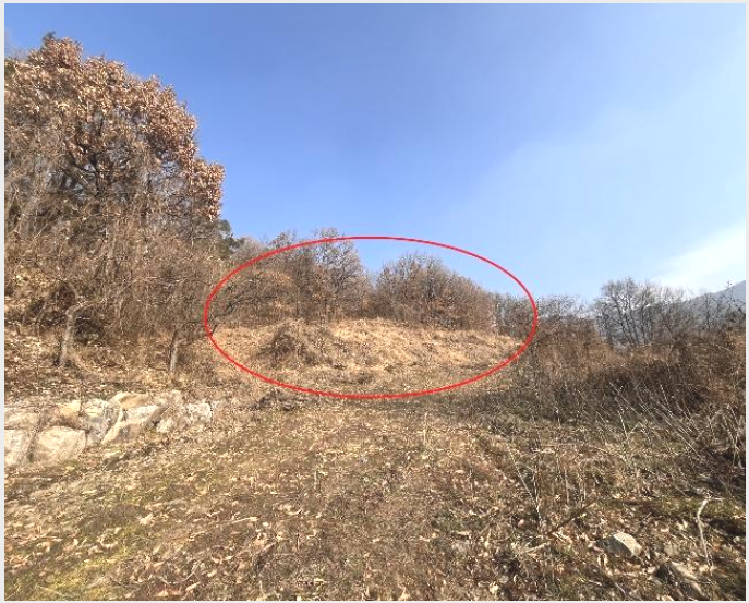 ÅäÁö(ÀÓ¾ß) »çÁø1 | ¹Ð¾ç½Ã »ê³»¸é ¼Û¹é¸® | 2024Ÿ°æ13468 | ÅäÁö(ÀÓ¾ß)°æ¸Å
