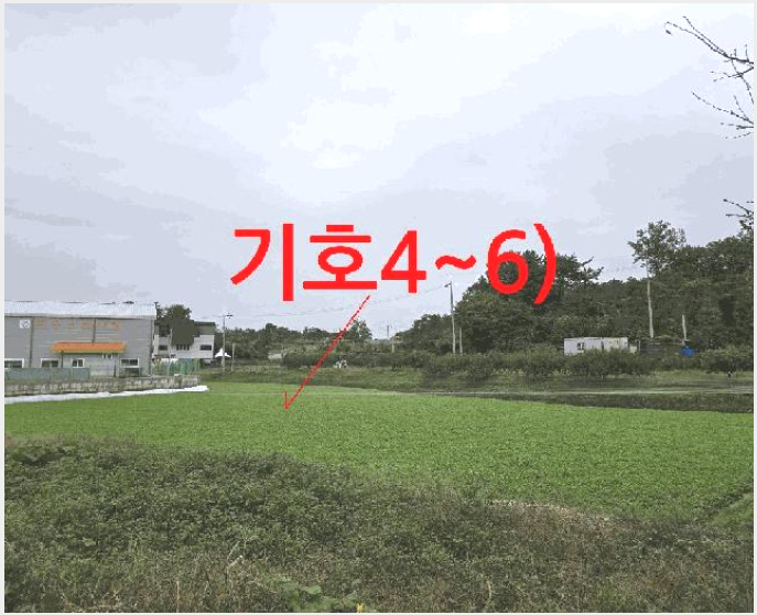 ÅäÁö(´ä) »çÁø1 | ÀüÁֽà ¿Ï»ê±¸ »ó¸²µ¿ | 2025Ÿ°æ970 | ÅäÁö(´ä)°æ¸Å