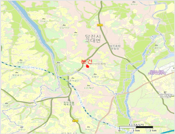 ÅäÁö(ÀÓ¾ß) »çÁø1 | ´çÁø½Ã °í´ë¸é ¿ÁÇö¸® | 2025Ÿ°æ51114 | ÅäÁö(ÀÓ¾ß)°æ¸Å