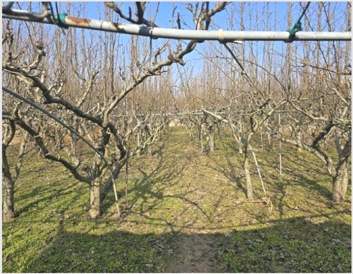 ÅäÁö(´ä) »çÁø1 | »çõ½Ã »çõÀ¾ µÎ·®¸® | 2025Ÿ°æ159 | ÅäÁö(´ä)°æ¸Å