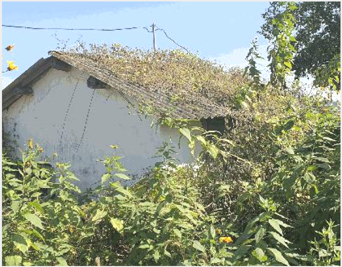 ÁÖÅà »çÁø1 | ³ªÁֽà ¹Ý³²¸é ´ö»ê¸® | 2025Ÿ°æ34142 | ÁÖÅðæ¸Å