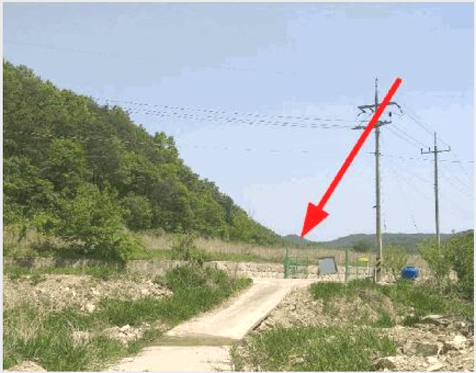 ÅäÁö(´ä) »çÁø1 | ¿µµ¿±º Çлê¸é Áö³»¸® | 2025Ÿ°æ73 | ÅäÁö(´ä)°æ¸Å