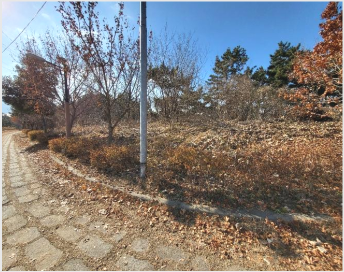 ÅäÁö(ÀÓ¾ß) »çÁø1 | Çϵ¿±º ±Ý³²¸é ´ëµµ¸® | 2024Ÿ°æ6587 | ÅäÁö(ÀÓ¾ß)°æ¸Å