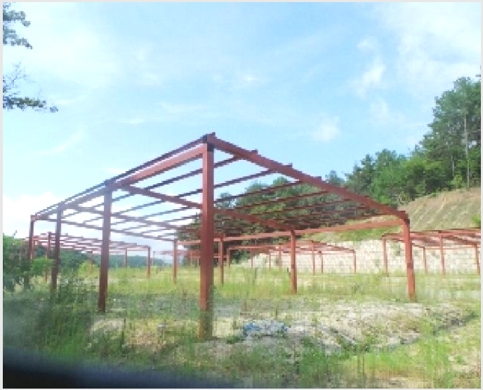 ÅäÁö(ÀÓ¾ß) »çÁø1 | Ãáõ½Ã ½ÅºÏÀ¾ Áö³»¸® | 2025Ÿ°æ1760 | ÅäÁö(ÀÓ¾ß)°æ¸Å