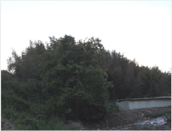 ÅäÁö(¹¦Áö) »çÁø1 | °í·É±º ¿ì°î¸é ´ë°î¸® | 2025Ÿ°æ31216 | ÅäÁö(¹¦Áö)°æ¸Å