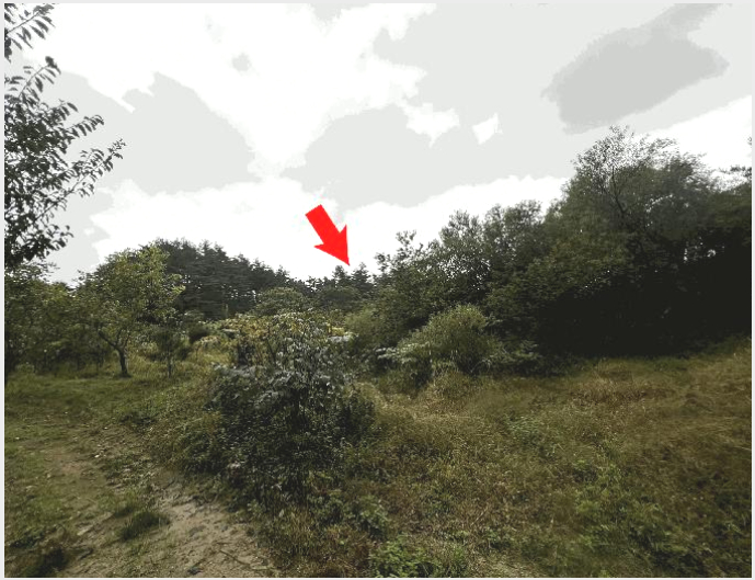 ÅäÁö(Àü) »çÁø1 | °í¼º±º °£¼ºÀ¾ ¾îõ¸® | 2025Ÿ°æ10356 | ÅäÁö(Àü)°æ¸Å
