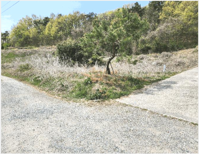 ÅäÁö(Àü) »çÁø1 | â³ç±º ¿µ»ê¸é ºÀ¾Ï¸® | 2024Ÿ°æ13277 | ÅäÁö(Àü)°æ¸Å