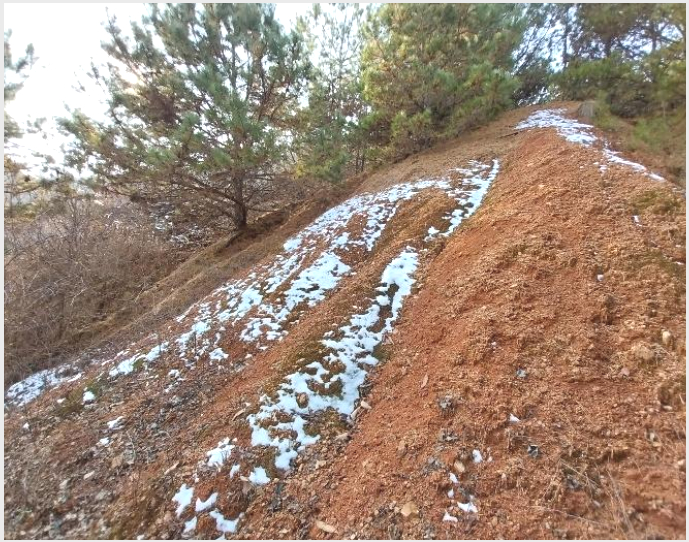 ÅäÁö(ÀÓ¾ß) »çÁø1 | ÀÌõ½Ã ¹é»ç¸é Çö¹æ¸® | 2023Ÿ°æ38965 | ÅäÁö(ÀÓ¾ß)°æ¸Å
