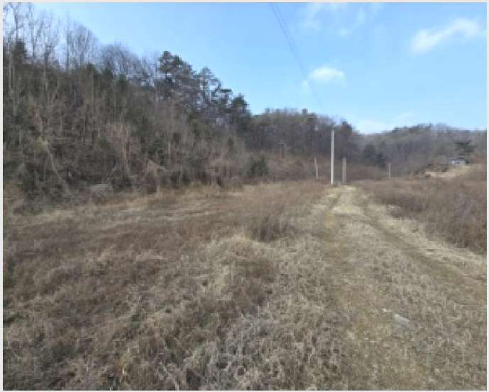 ÅäÁö(ÀÓ¾ß) »çÁø1 | ûÁֽà Èï´ö±¸ ¿Á»ê¸é | 2025Ÿ°æ52107 | ÅäÁö(ÀÓ¾ß)°æ¸Å