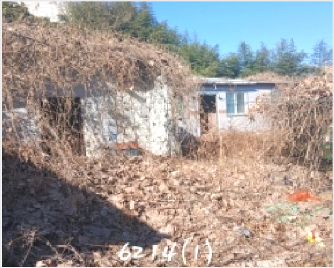 ´Üµ¶ÁÖÅà »çÁø1 | ±âÀ屺 Àϱ¤À¾ Çи® | 2025Ÿ°æ6214 | ´Üµ¶ÁÖÅðæ¸Å