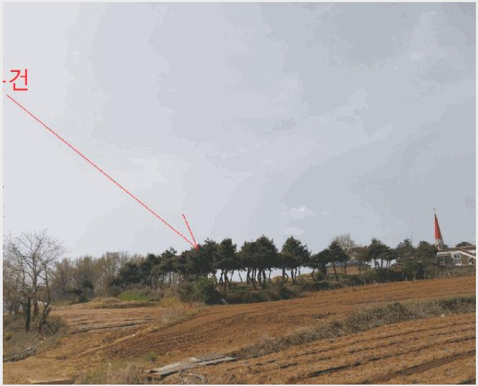 ÅäÁö(Àü) »çÁø1 | °íⱺ ´ë»ê¸é Á߻긮 | 2025Ÿ°æ30229 | ÅäÁö(Àü)°æ¸Å