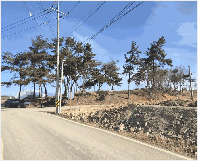 ÅäÁö(ÀÓ¾ß) »çÁø1 | ³ªÁֽà Æò»êµ¿ »ê116 | 2025Ÿ°æ34766 | ÅäÁö(ÀÓ¾ß)°æ¸Å