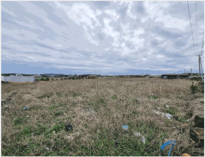 ÅäÁö(Àü) »çÁø1 | ¼±ÍÆ÷½Ã ¾È´ö¸é »ç°è¸® | 2025Ÿ°æ7679 | ÅäÁö(Àü)°æ¸Å