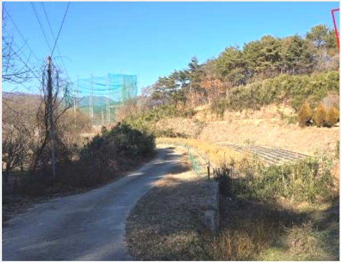 ÅäÁö(Àü) »çÁø1 | ¿ïÁÖ±º ¾ð¾çÀ¾ Á÷µ¿¸® | 2024Ÿ°æ120424 | ÅäÁö(Àü)°æ¸Å