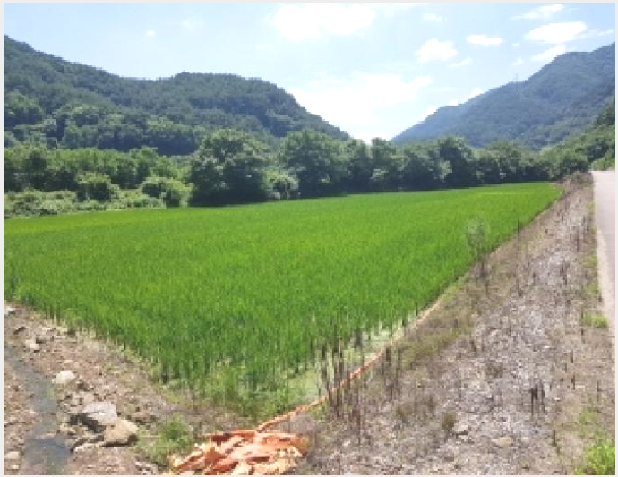 ÅäÁö(Àü) »çÁø1 | ÀÎÁ¦±º ºÏ¸é ¿ùÇи® | 2025Ÿ°æ1388 | ÅäÁö(Àü)°æ¸Å