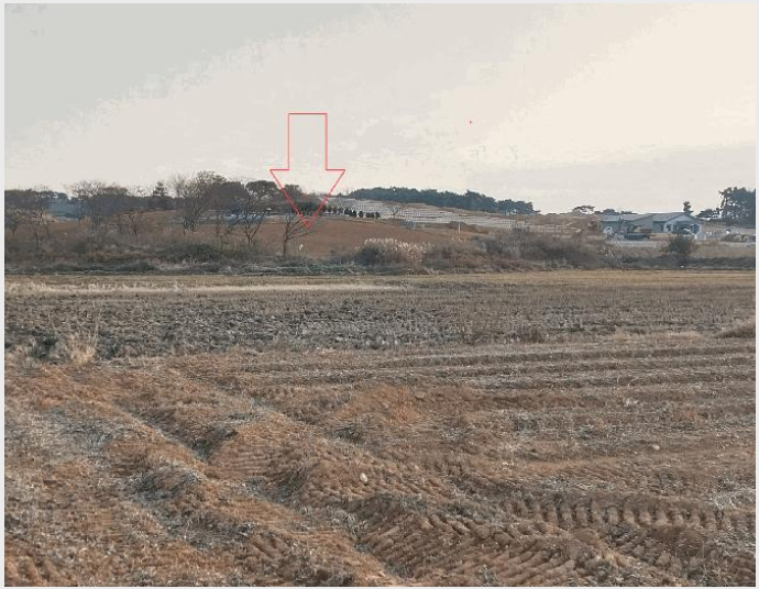 ÅäÁö(Àü) »çÁø1 | ºÎ¾È±º Çϼ¸é Àå½Å¸® | 2025Ÿ°æ30527 | ÅäÁö(Àü)°æ¸Å