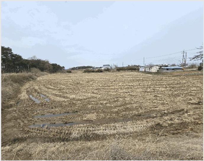 ÅäÁö(´ä) »çÁø1 | ´çÁø½Ã ½ÅÆò¸é µµ¼º¸® | 2025Ÿ°æ569 | ÅäÁö(´ä)°æ¸Å