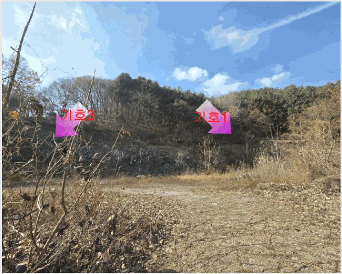 ÅäÁö(Àü) »çÁø1 | ±Ý»ê±º Áø»ê¸é À¾³»¸® | 2025Ÿ°æ503797 | ÅäÁö(Àü)°æ¸Å