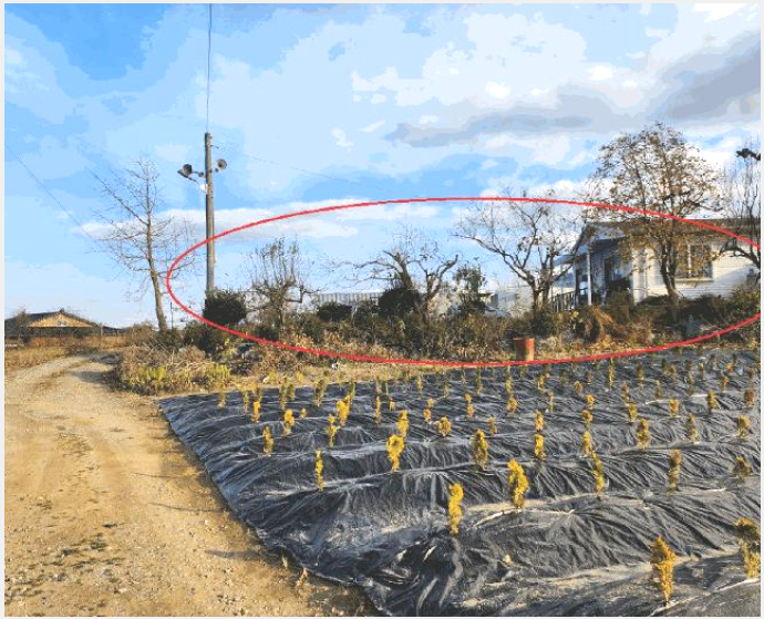 ÁÖÅà »çÁø1 | ¾Æ»ê½Ã ¿µÀÎ¸é ½ÅºÀ¸® | 2025Ÿ°æ12620 | ÁÖÅðæ¸Å