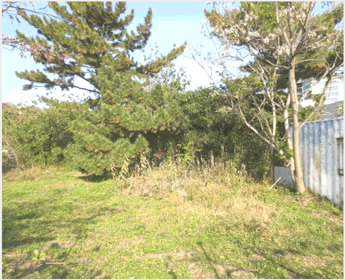 ÅäÁö(Àü) »çÁø1 | °í¼º±º Á×¿Õ¸é ¿ÀÈ£¸® | 2025Ÿ°æ10403 | ÅäÁö(Àü)°æ¸Å