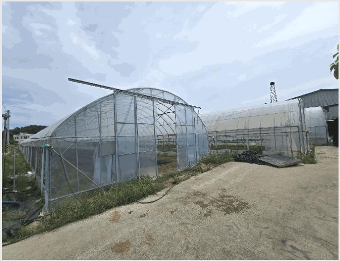 ÁÖÅà »çÁø1 | žȱº žÈÀ¾ »è¼±¸® | 2025Ÿ°æ51373 | ÁÖÅðæ¸Å