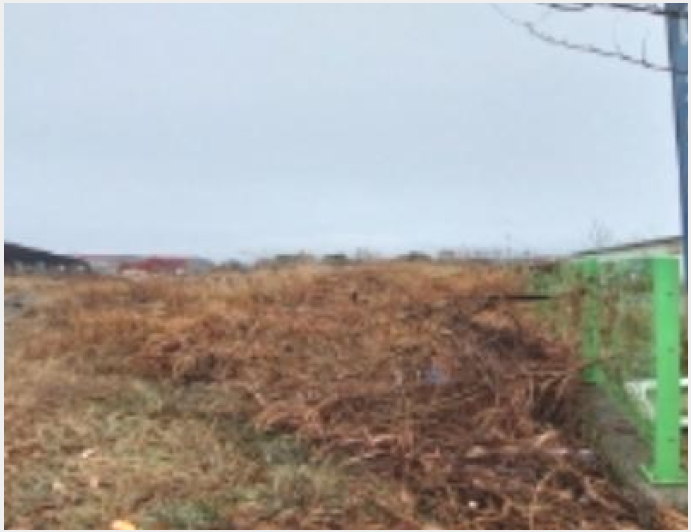 ÅäÁö(Àü) »çÁø1 | ÆòÅÃ½Ã ÆØ¼ºÀ¾ º»Á¤¸® | 2023Ÿ°æ4835 | ÅäÁö(Àü)°æ¸Å