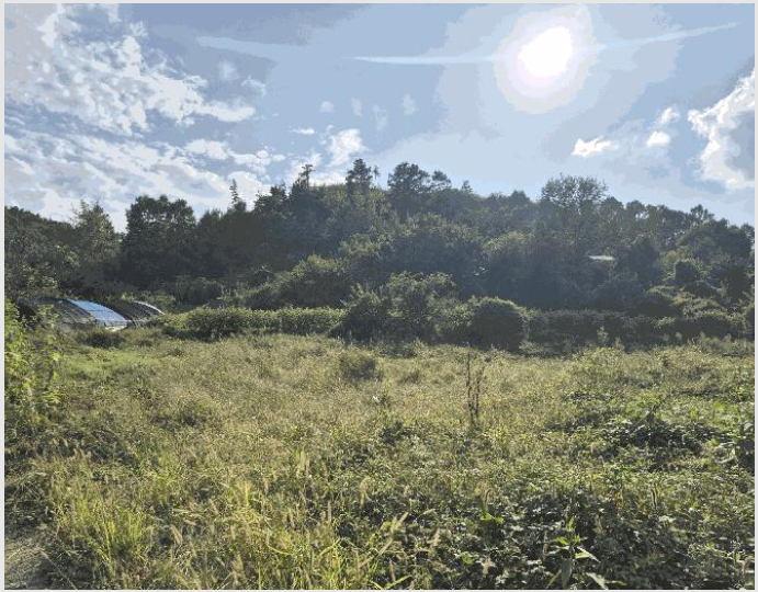 ÅäÁö(Àü) »çÁø1 | ±Ý»ê±º Á¦¿ø¸é ±Ý¼º¸® | 2025Ÿ°æ503424 | ÅäÁö(Àü)°æ¸Å