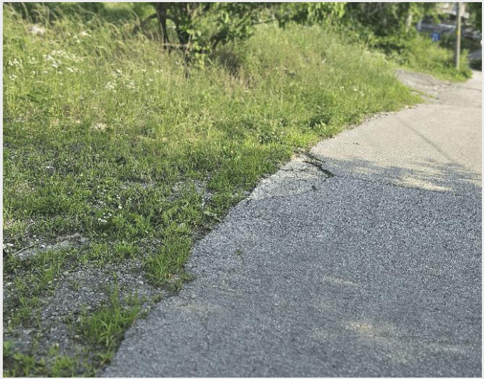 ÅäÁö(Àü) »çÁø1 | Æ÷õ½Ã ±º³»¸é ÇϼººÏ¸® | 2025Ÿ°æ2159 | ÅäÁö(Àü)°æ¸Å