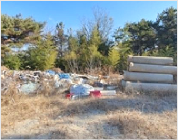 ÅäÁö(ÀÓ¾ß) »çÁø1 | ±èÇØ½Ã ¸í¹ýµ¿ 800-15 | 2024Ÿ°æ8085 | ÅäÁö(ÀÓ¾ß)°æ¸Å