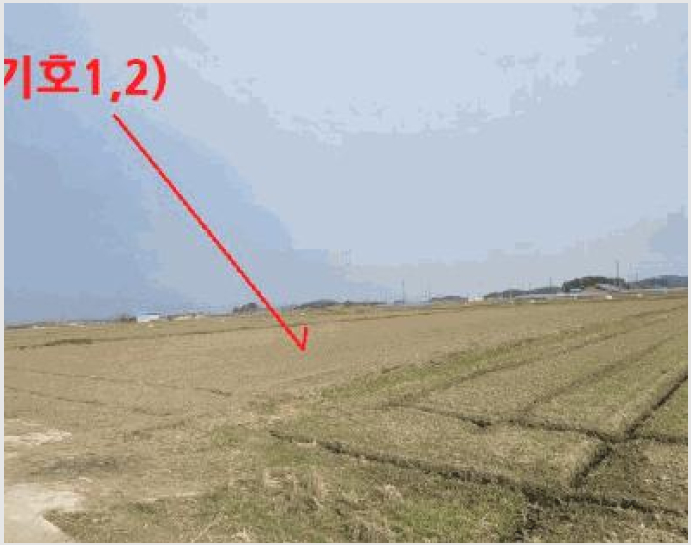 ÅäÁö(´ä) »çÁø1 | ±èÁ¦½Ã ÁøºÀ¸é »ó±È¸® | 2026Ÿ°æ16 | ÅäÁö(´ä)°æ¸Å