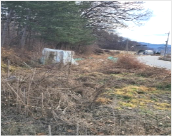 ÅäÁö(´ä) »çÁø1 | º¸Àº±º ¼öÇÑ¸é ¹¦¼¸® | 2023Ÿ°æ61154 | ÅäÁö(´ä)°æ¸Å