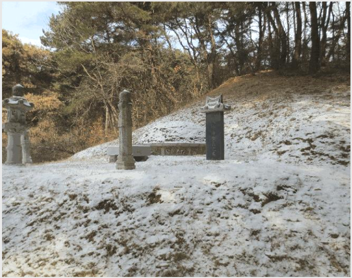ÅäÁö(ÀÓ¾ß) »çÁø1 | Ãáõ½Ã ½Åµ¿¸é Á¤Á·¸® | 2026Ÿ°æ50020 | ÅäÁö(ÀÓ¾ß)°æ¸Å