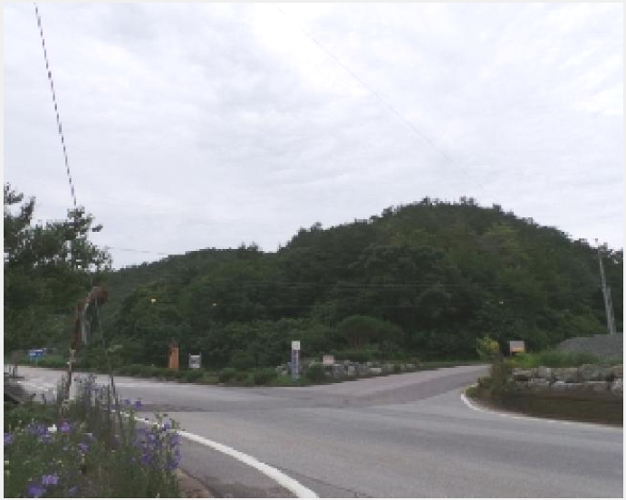 ÅäÁö(ÀÓ¾ß) »çÁø1 | ¿µ¿ù±º ³²¸é ºÏ½Ö¸® | 2025Ÿ°æ30497 | ÅäÁö(ÀÓ¾ß)°æ¸Å
