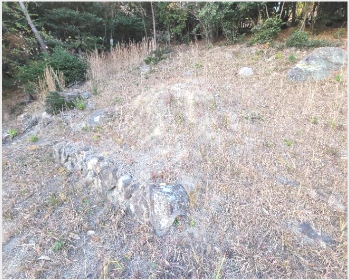 ÅäÁö(´ä) »çÁø1 | ±¤¾ç½Ã Áø¿ù¸é ¸Á´ö¸® | 2024Ÿ°æ62325 | ÅäÁö(´ä)°æ¸Å