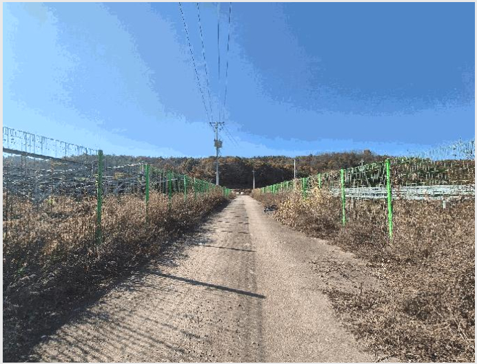 ÅäÁö(ÀâÁ¾Áö) »çÁø1 | ÇԾȱº ¹ý¼ö¸é ¹é»ê¸® | 2025Ÿ°æ337 | ÅäÁö(ÀâÁ¾Áö)°æ¸Å