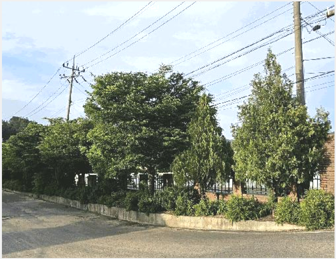 °øÀå »çÁø1 | ±Ý»ê±º ±Ý¼º¸é ÇϽŸ® | 2025Ÿ°æ502474 | °øÀå°æ¸Å