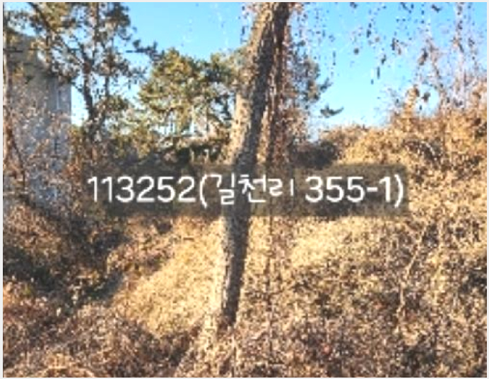 ÅäÁö(ÀÓ¾ß) »çÁø1 | ±âÀ屺 Àå¾ÈÀ¾ ±æÃµ¸® | 2024Ÿ°æ113252 | ÅäÁö(ÀÓ¾ß)°æ¸Å