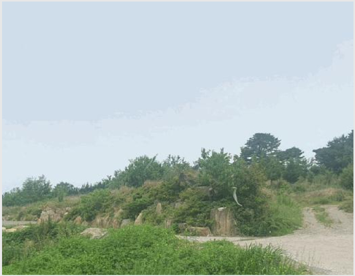 ÅäÁö(ÀÓ¾ß) »çÁø1 | â¿ø½Ã ÀÇⱸ ´ë»ê¸é | 2025Ÿ°æ11462 | ÅäÁö(ÀÓ¾ß)°æ¸Å