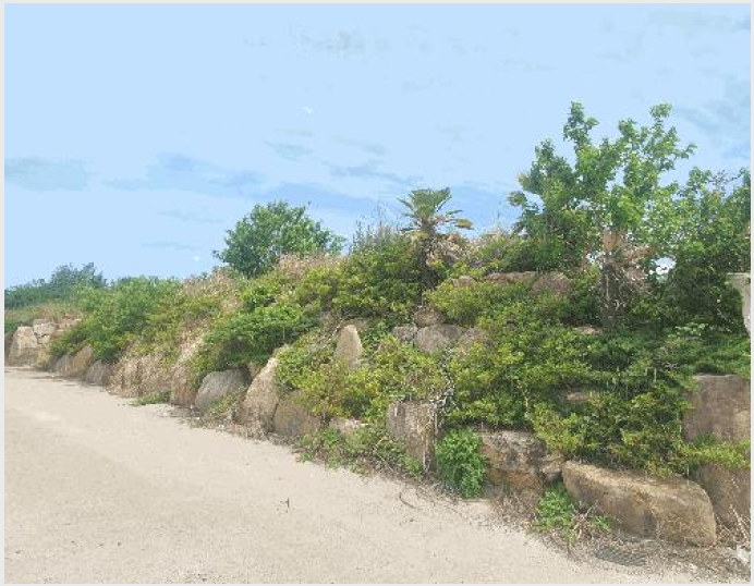 ÅäÁö(ÀÓ¾ß) »çÁø1 | â¿ø½Ã ÀÇⱸ ´ë»ê¸é | 2025Ÿ°æ11462 | ÅäÁö(ÀÓ¾ß)°æ¸Å