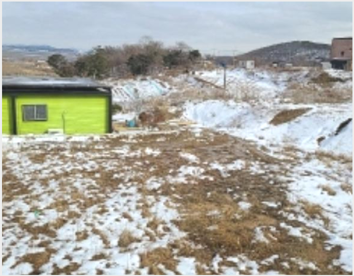ÅäÁö(Àü) »çÁø1 | °È±º ±æ»ó¸é ¼±µÎ¸® | 2024Ÿ°æ506141 | ÅäÁö(Àü)°æ¸Å