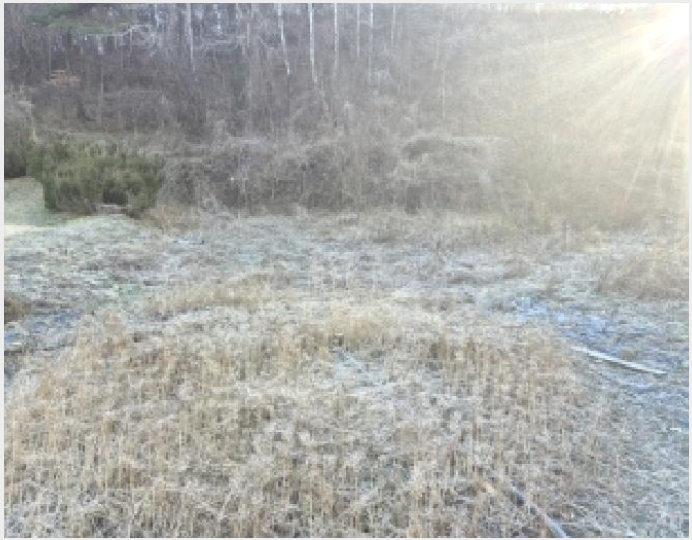 ÅäÁö(´ä) »çÁø1 | µ¿±¸ ³»³²µ¿ 600-3 | 2025Ÿ°æ34768 | ÅäÁö(´ä)°æ¸Å
