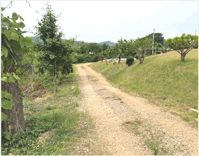 ÅäÁö(Àü) »çÁø1 | ´çÁø½Ã ¼Û¾ÇÀ¾ ¿ù°î¸® | 2025Ÿ°æ51391 | ÅäÁö(Àü)°æ¸Å