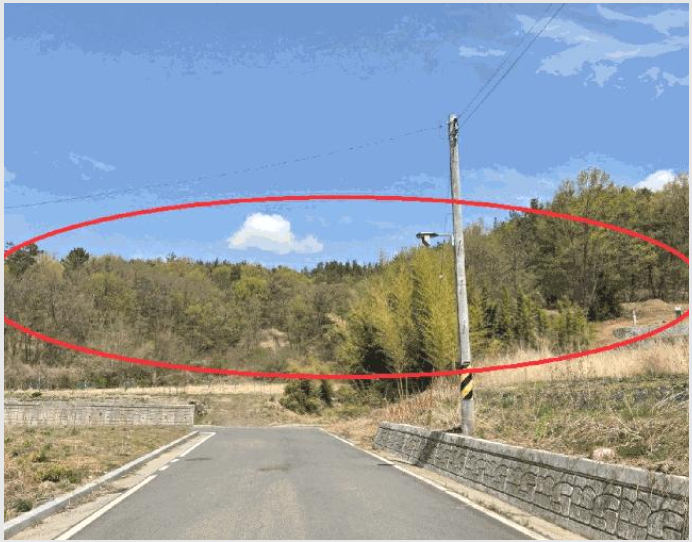 ÅäÁö(ÀÓ¾ß) »çÁø1 | ´Þ¼º±º ÇϺó¸é ±â°î¸® | 2025Ÿ°æ31122 | ÅäÁö(ÀÓ¾ß)°æ¸Å
