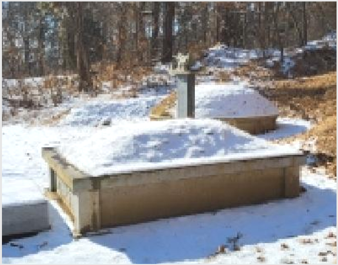 ÅäÁö(ÀÓ¾ß) »çÁø1 | ÆÄÁֽà ¿ù·Õ¸é ´öÀº¸® | 2025Ÿ°æ6499 | ÅäÁö(ÀÓ¾ß)°æ¸Å