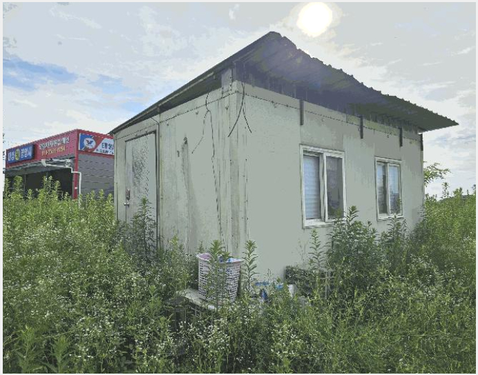 ÅäÁö(´ä) »çÁø1 | À½¼º±º ±Ý¿ÕÀ¾ ³»¼Û¸® | 2025Ÿ°æ1579 | ÅäÁö(´ä)°æ¸Å