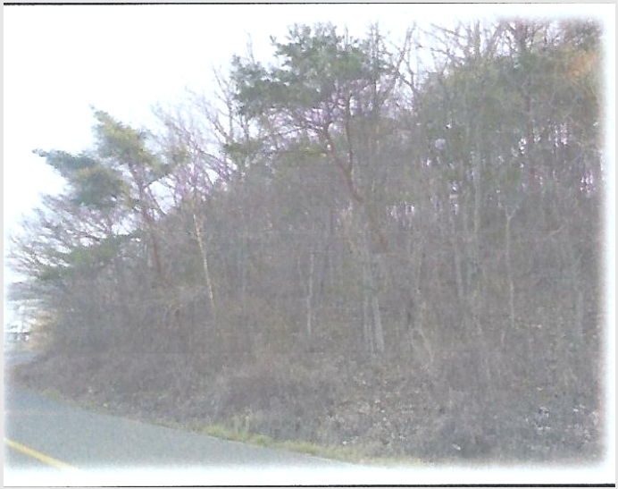 ÅäÁö(ÀÓ¾ß) »çÁø1 | Æ÷Ç׽à ³²±¸ µ¿Çظé | 2023Ÿ°æ3712 | ÅäÁö(ÀÓ¾ß)°æ¸Å