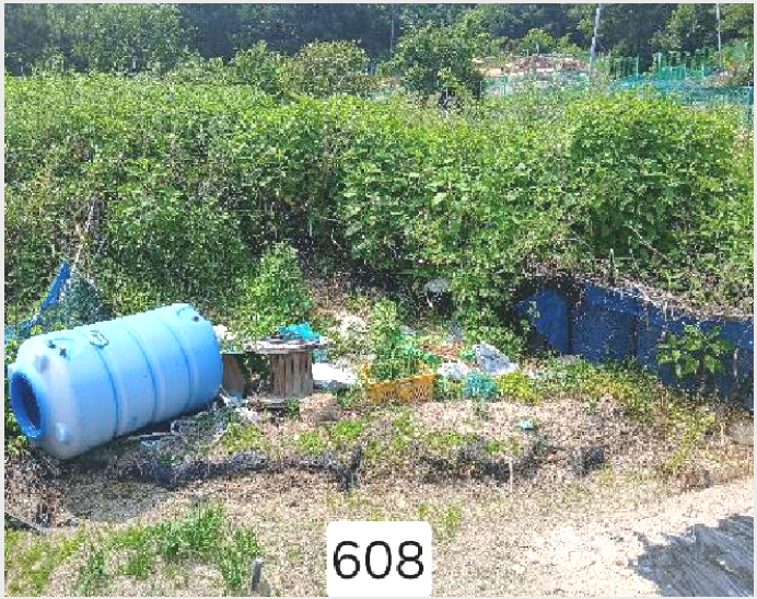 ÅäÁö(´ä) »çÁø1 | ±âÀ屺 Àå¾ÈÀ¾ ¿ù³»¸® | 2025Ÿ°æ608 | ÅäÁö(´ä)°æ¸Å